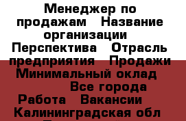Менеджер по продажам › Название организации ­ Перспектива › Отрасль предприятия ­ Продажи › Минимальный оклад ­ 30 000 - Все города Работа » Вакансии   . Калининградская обл.,Пионерский г.
